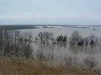 View from Meroms Bluff.webp