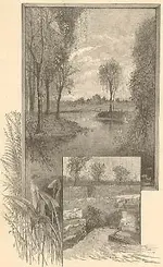 Pedro Springs.webp