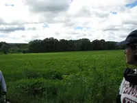 mass hunt 003.webp
