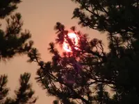 DSC01000.webp