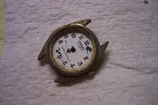 100_3547.webp