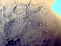fossil4.webp