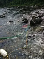 image-2571376020.webp