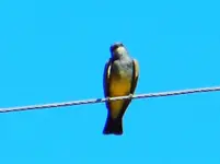 FSCN5566.webp FSCN5566.webp