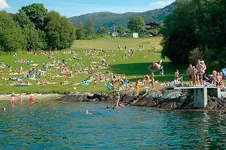 vollane.webp