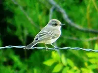 RSCN0310.webp RSCN0310.webp
