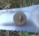 pewter button 2.webp