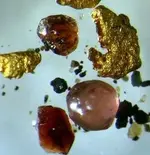 gold.webp