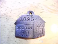 DVC08804.webp