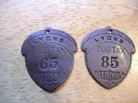 DVC08806.webp