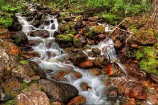 009_9_9.webp