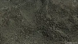 ml#2.webp