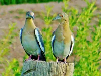 FSCN8092.webp