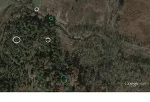 dows%20medowsed.webp