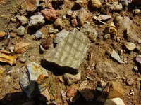 DSCN3670.webp