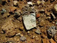 DSCN3671.webp