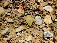 DSCN3673.webp