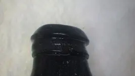 IMGP0497.webp