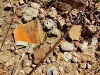 DSCN3676.webp