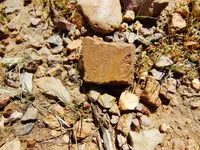 DSCN3681.webp