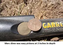 Park Finds 8-27-14 006.webp