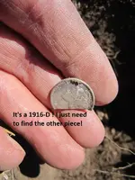 Park Finds 8-27-14 012.webp