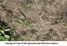 Park Finds 8-27-14 013.webp