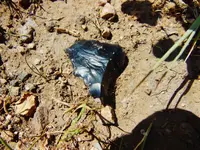 DSCN3686.webp