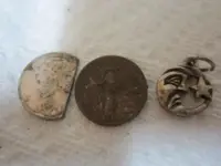 Park Finds 8-27-14 015.webp
