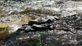20140531_145837.webp