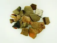 DSCN3689.webp