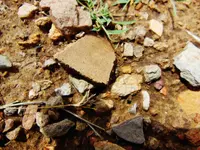 DSCN3894.webp