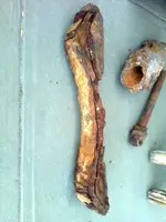 Photo0534.webp