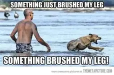 Brushed.webp Brushed.webp