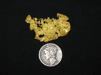 Jacks Gold 002.webp