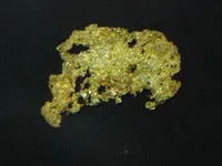 Jacks Gold 004.webp