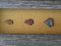 ArrowHeads.webp