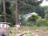 DSCN4732.webp
