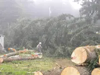 DSCN4736.webp