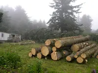 DSCN4737.webp