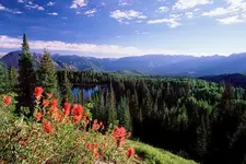 Parks_02.webp Parks_02.webp