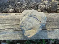 SAM_0280.webp SAM_0280.webp