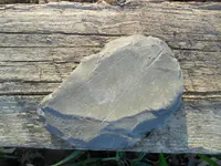 SAM_0287.webp SAM_0287.webp