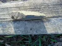 SAM_0285.webp SAM_0285.webp