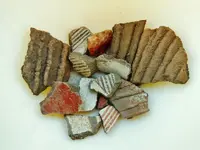 DSCN7457.webp