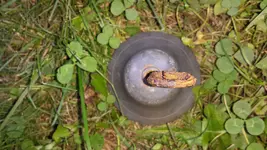20140903_161021.webp