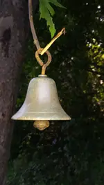 20140903_161120.webp