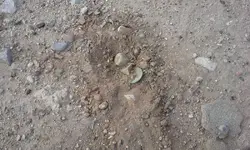 20140914_085812.webp