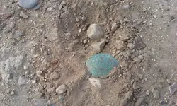 20140914_085818.webp