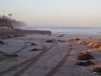 KIMG0093.webp KIMG0093.webp